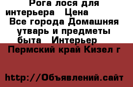 Рога лося для интерьера › Цена ­ 3 300 - Все города Домашняя утварь и предметы быта » Интерьер   . Пермский край,Кизел г.